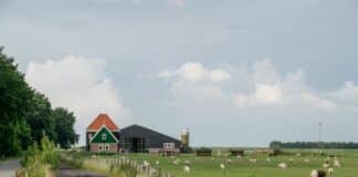 Woonboerderij krijgt steeds vaker eigenaar uit de Randstad