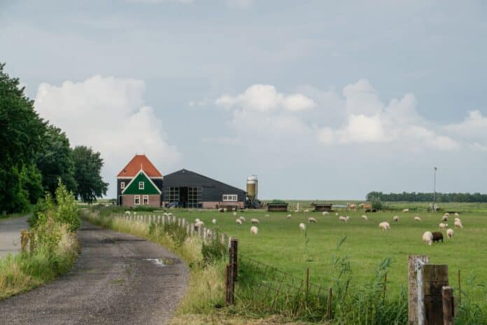 Woonboerderij krijgt steeds vaker eigenaar uit de Randstad