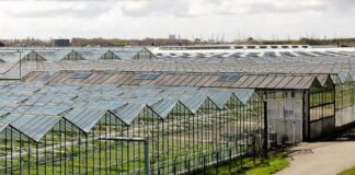 Gemeente Westland financiert grond voor starters op woningmarkt