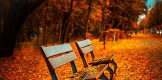 Nederlander wil niet betutteld worden in woonomgeving