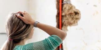 woning verhurenverzekeringen