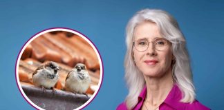 Keijzer funderingsschade